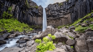 Svartifoss mauros katarraktis islandia