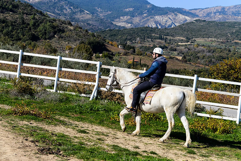 ιππασια τρικαλα κορινθιας