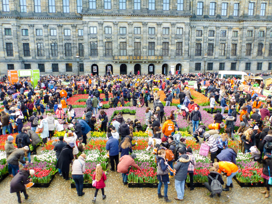 national-tulip-day