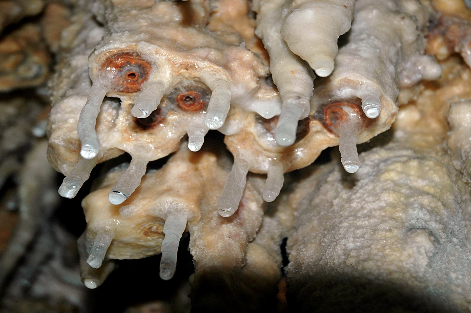 arkalospilos