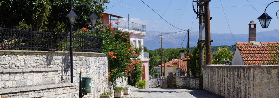 dimos zitsas