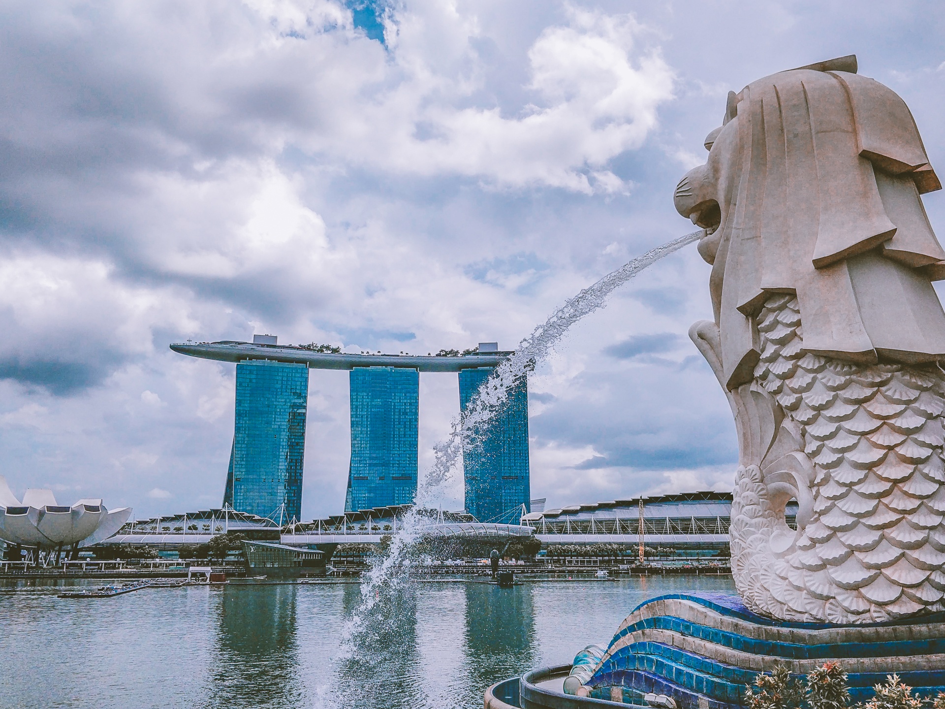 singapore marine
