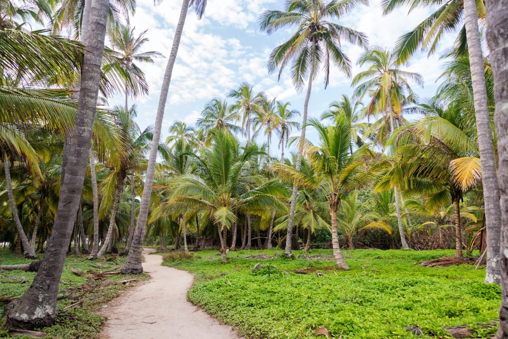 tayrona-colombia