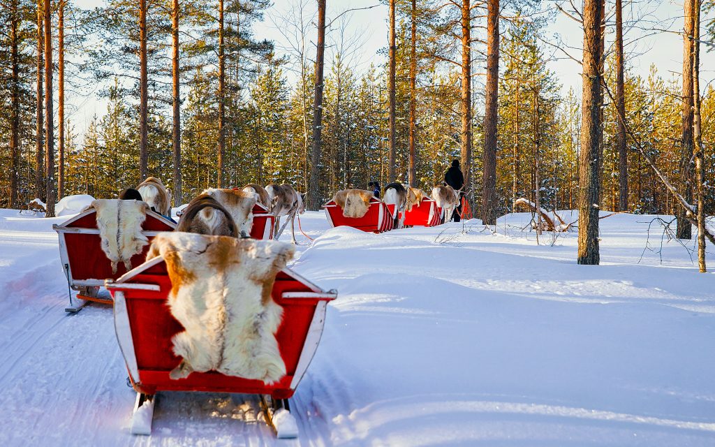 rovaniemi2